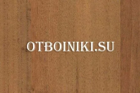 Компания Otboiniki фото 8