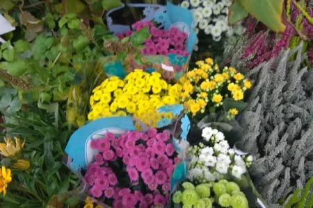 Магазин цветов Евробукет на улице Дзержинского фото 1