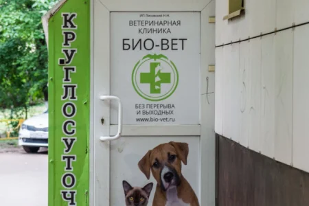 Ветеринарная клиника Биовет на улице Калинина фото 5