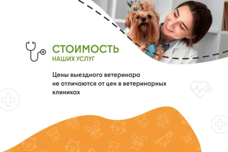 Ветеринарная служба ВетСкорая24 на улице Ленина фото 5